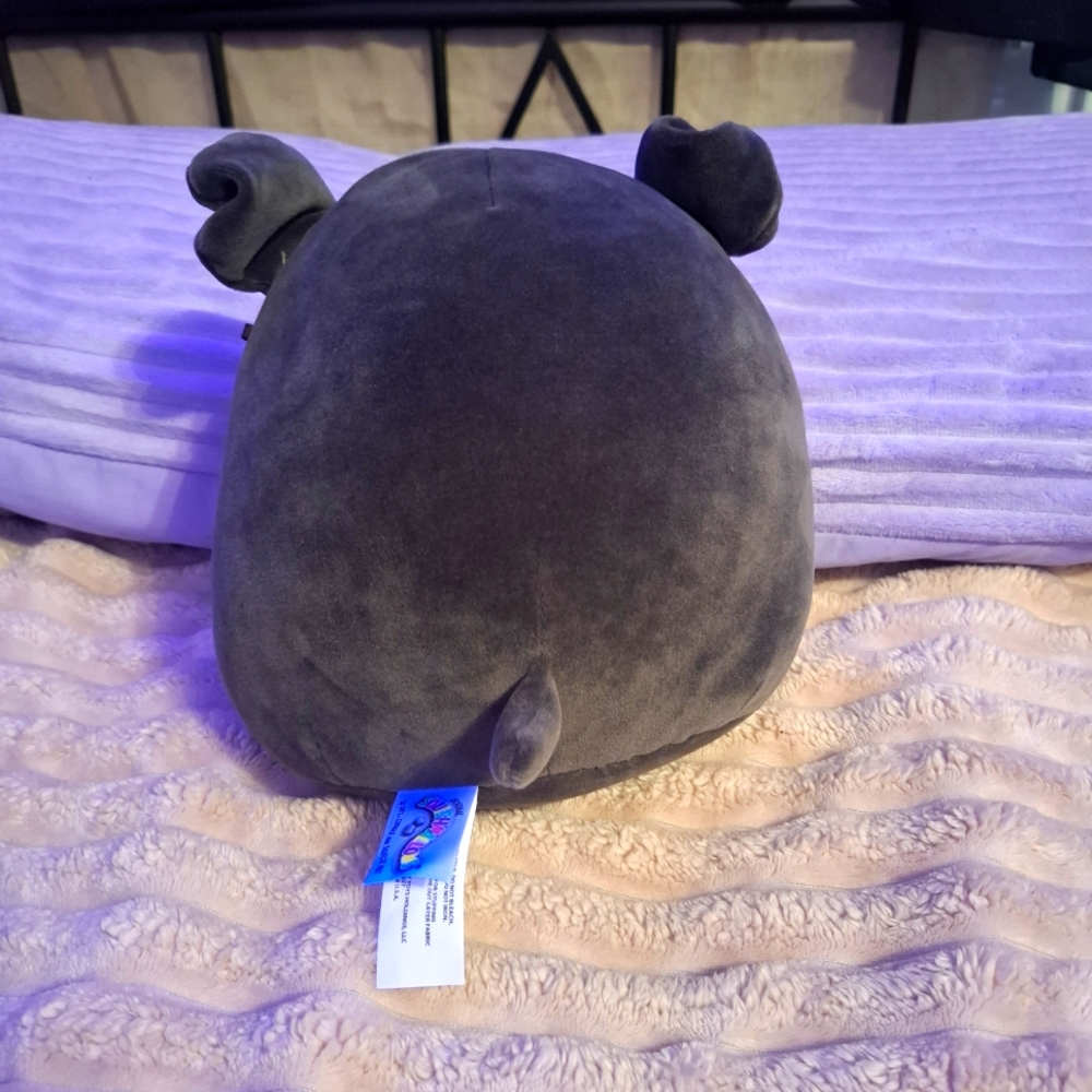 Bongo The Dog Squishmallows Plush Stuffed Animal Small 8" - Picture 3 of 5